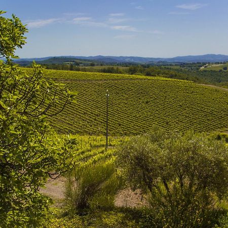 Вілла Fattoria Di Magliano Winery Мальяно-ін-Тоскана Номер фото
