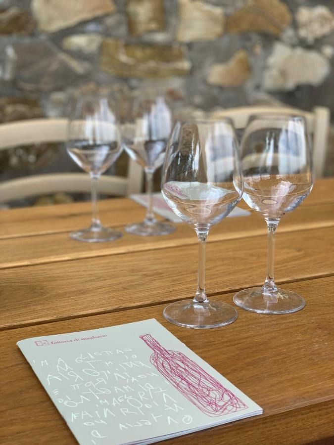 Вілла Fattoria Di Magliano Winery Мальяно-ін-Тоскана Екстер'єр фото