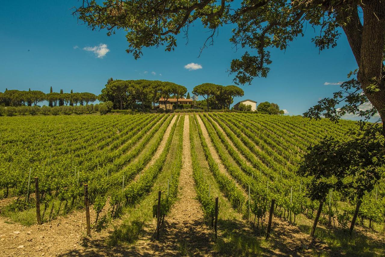 Вілла Fattoria Di Magliano Winery Мальяно-ін-Тоскана Екстер'єр фото