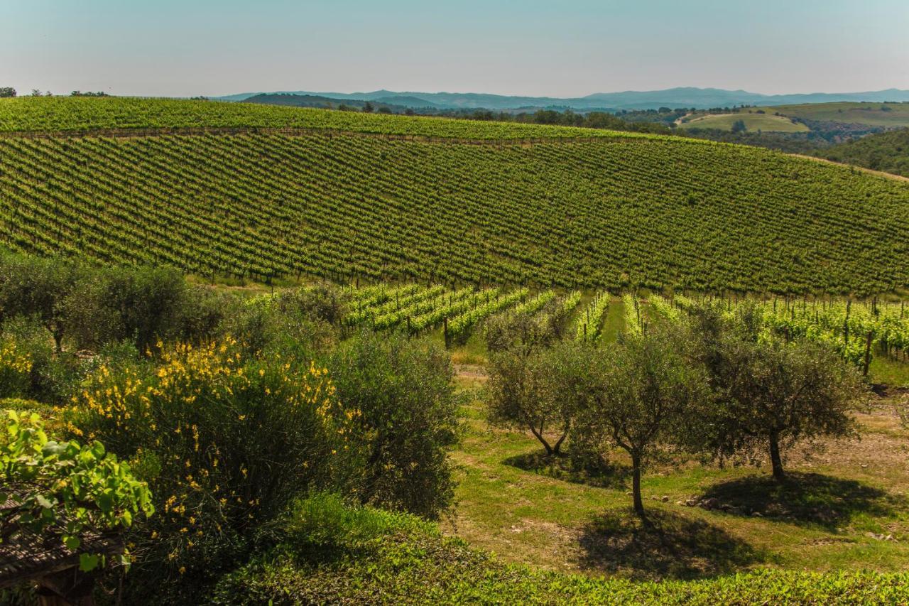 Вілла Fattoria Di Magliano Winery Мальяно-ін-Тоскана Екстер'єр фото